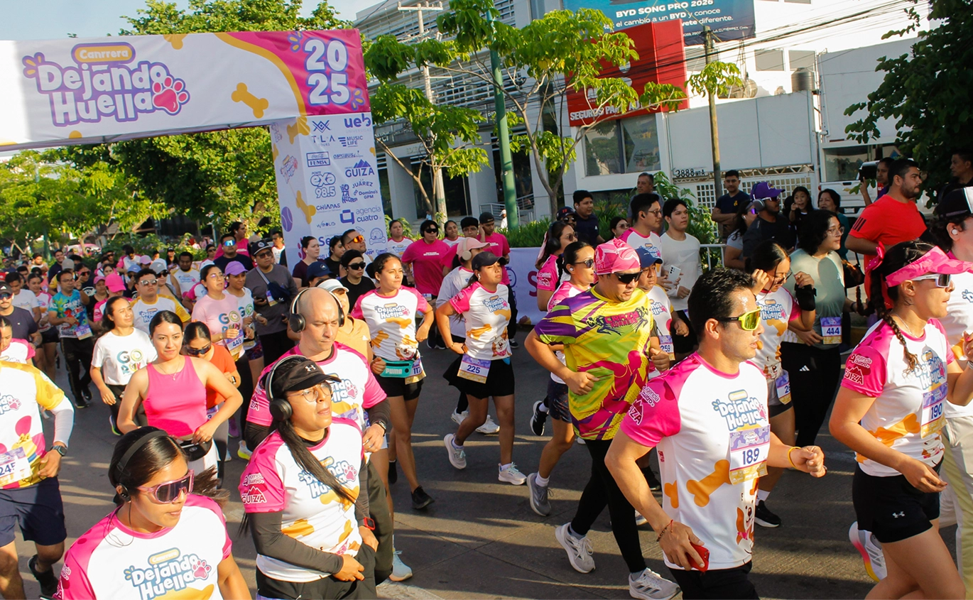 Portalia Sports — imagen 2 de 3